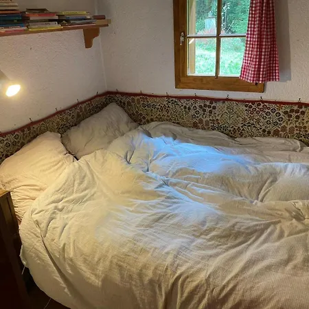 Feriehus In Near Slopes Edlitz