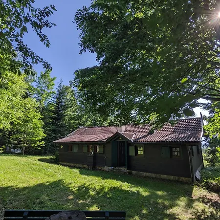 Feriehus In Near Slopes Edlitz